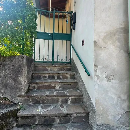 Quadrifoglio *